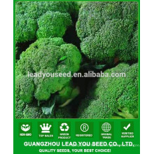 NBR011 Д. лучшие высокой урожайности семена брокколи Китай